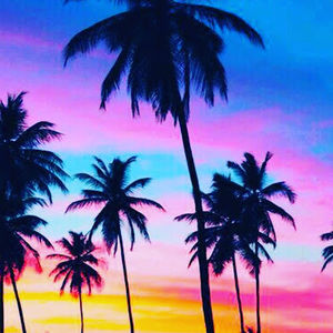 Meet your Posher, Ella